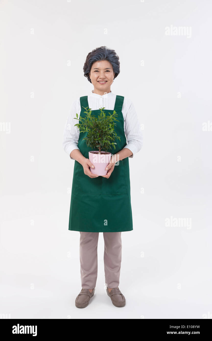 Una donna anziana con un grembiule tenendo un impianto Foto Stock