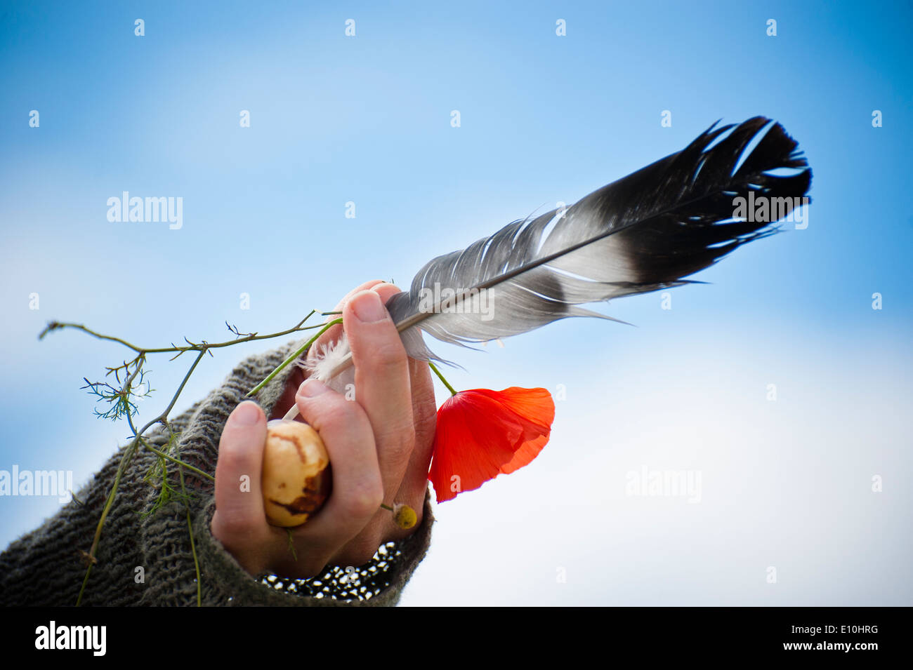 Mano che tiene giù, dado e fiore Foto Stock