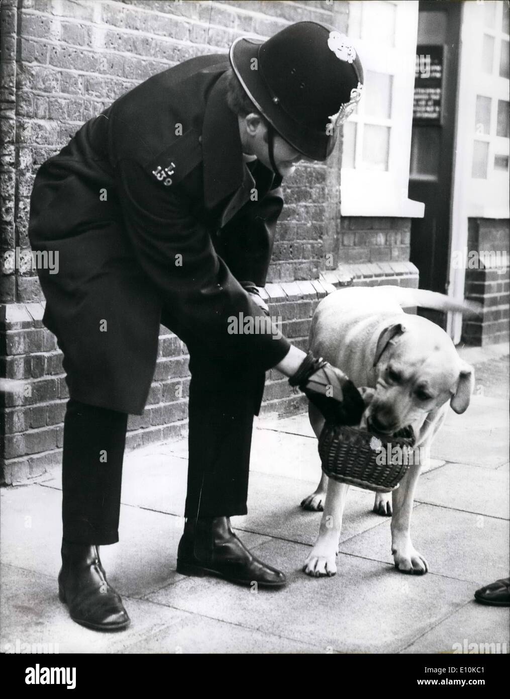 Apr. 04, 1973 - Anche il cane ottiene cercato; la sicurezza era molto stretto quando i dieci persone accusate di aver complottato per provocare esplosioni a Londra il mese scorso quando un grande danno è stato causato in Whiteball e Old Bailey- quando è apparso a Lambeeth Magistrates Court di questa mattina. "Andy'', il labrador cane non sfuggire l'aquila occhio del poliziotto, che ricerca 'sandy's'' cestello come egli era di passaggio alla corte di oggi. Foto Stock