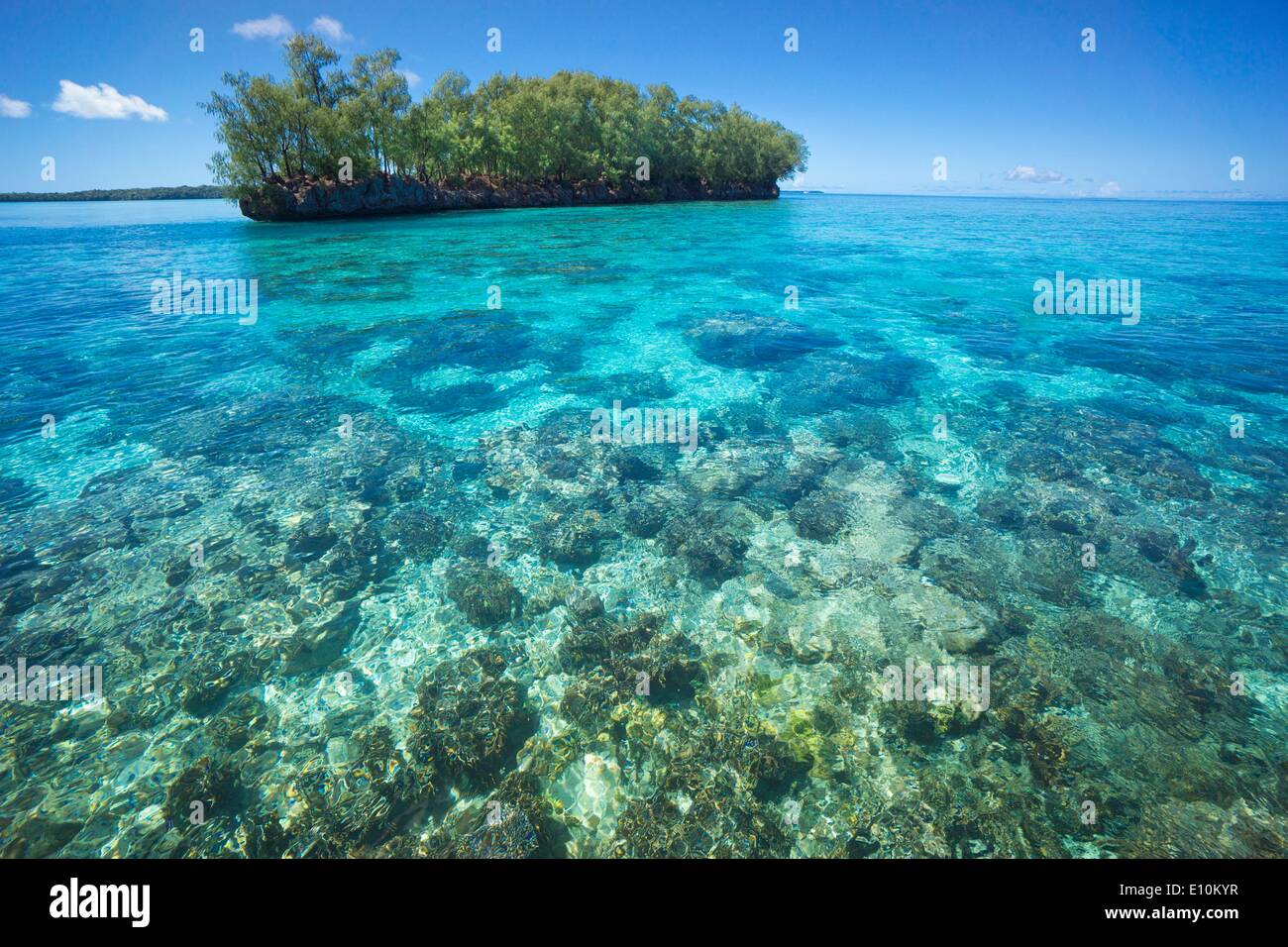 Isole Palau, Palau Micronesia - Aprile 2014 Foto Stock