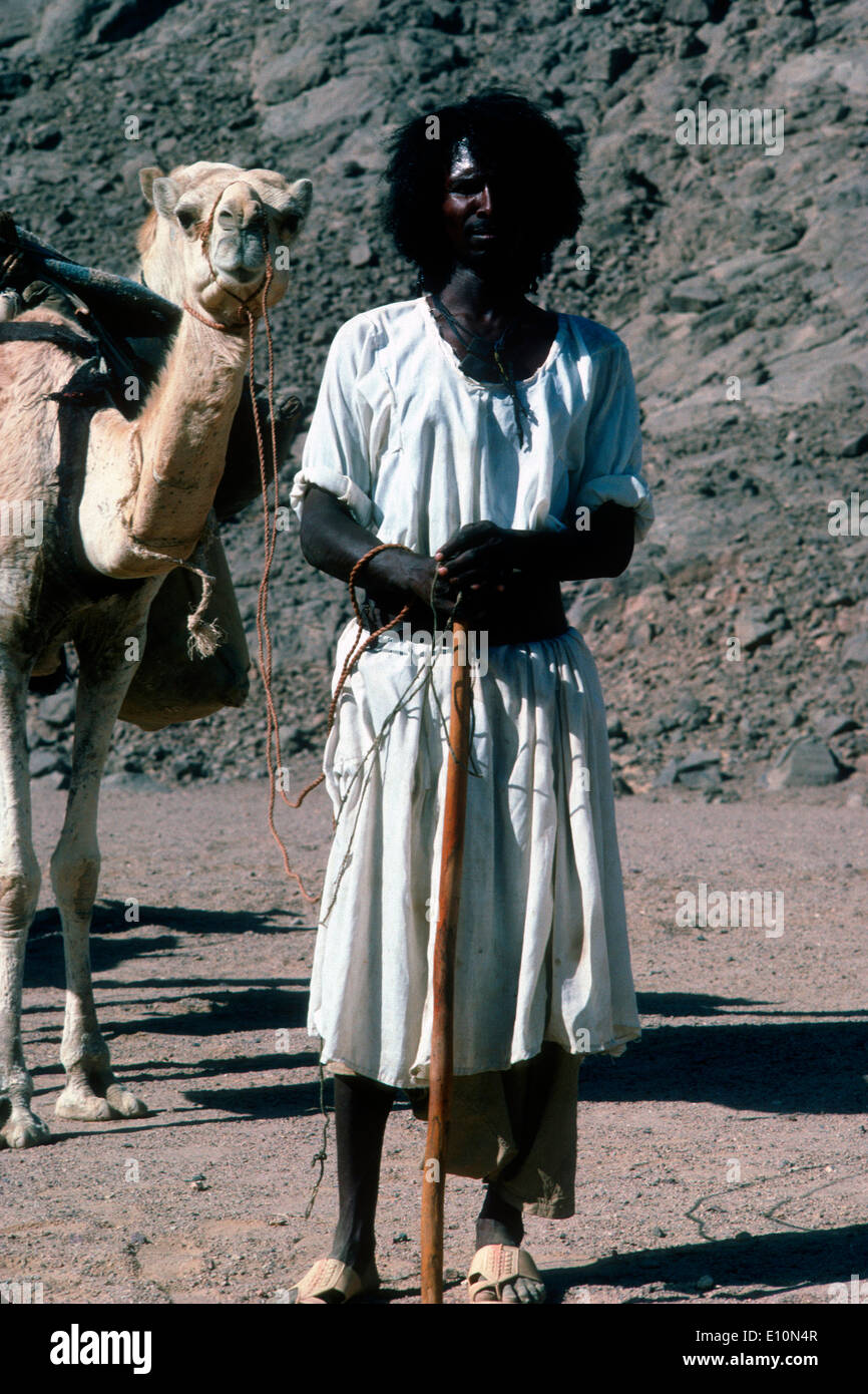 Beja/Bishari uomo che viaggia in cammello caravan dall'Alto Egitto al Sudan. Foto Stock