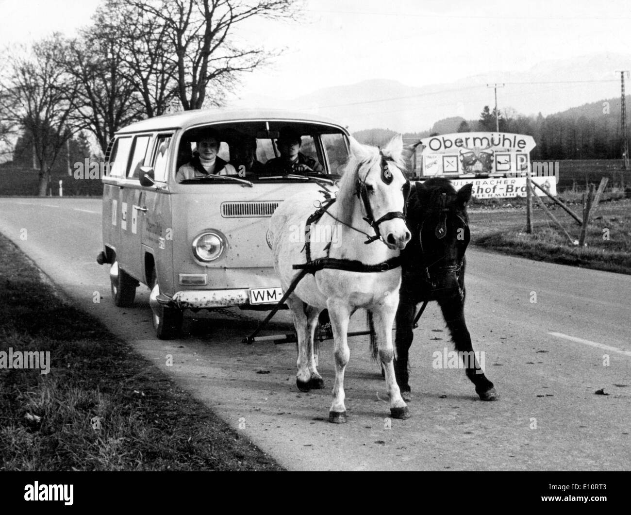 Modi alternativi di trasporto - due cavalli tirando una Volkswagen Foto Stock