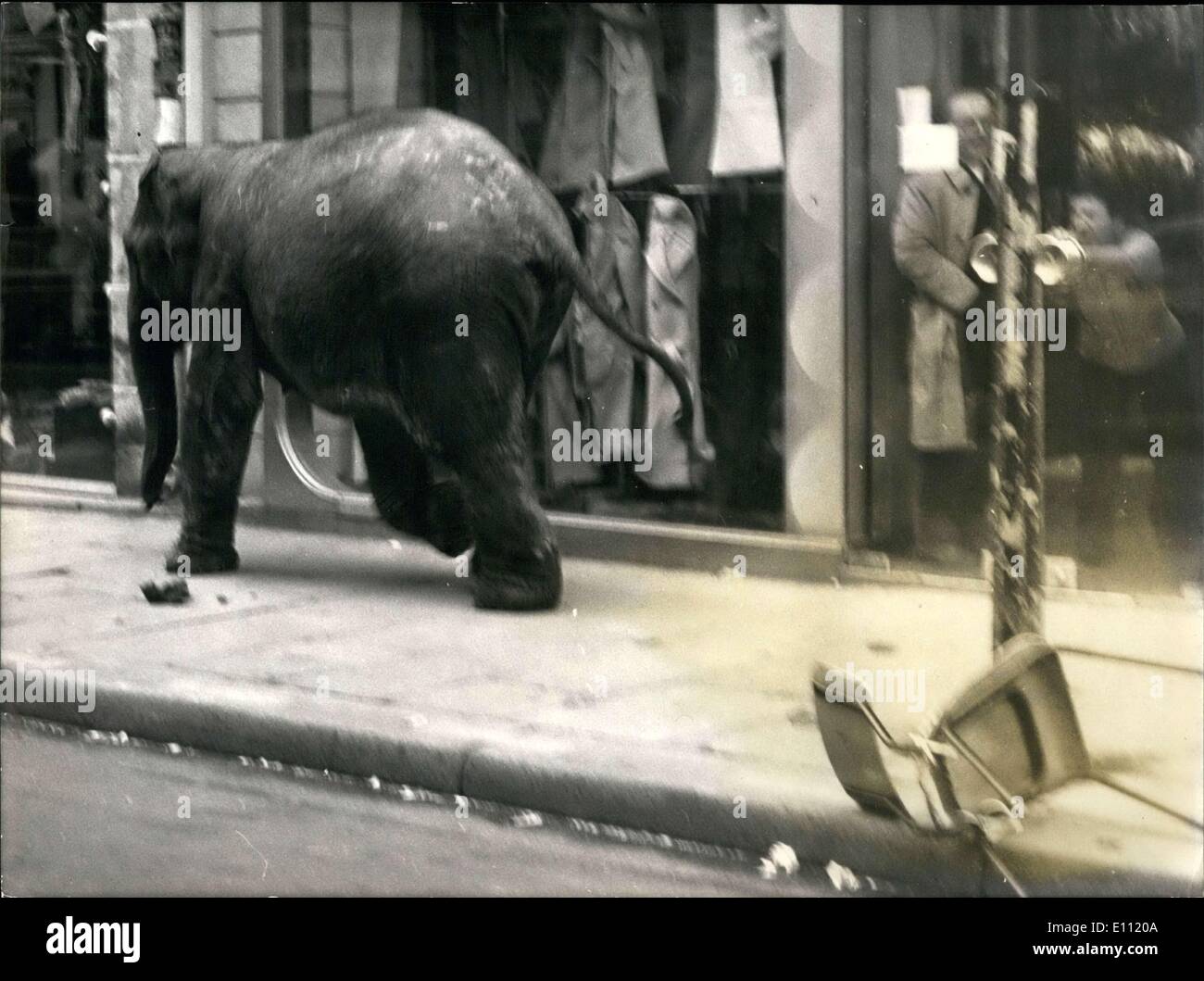 Gen. 10, 1975 - Elephant fuoriesce dal Cirque d'Hiver Foto Stock