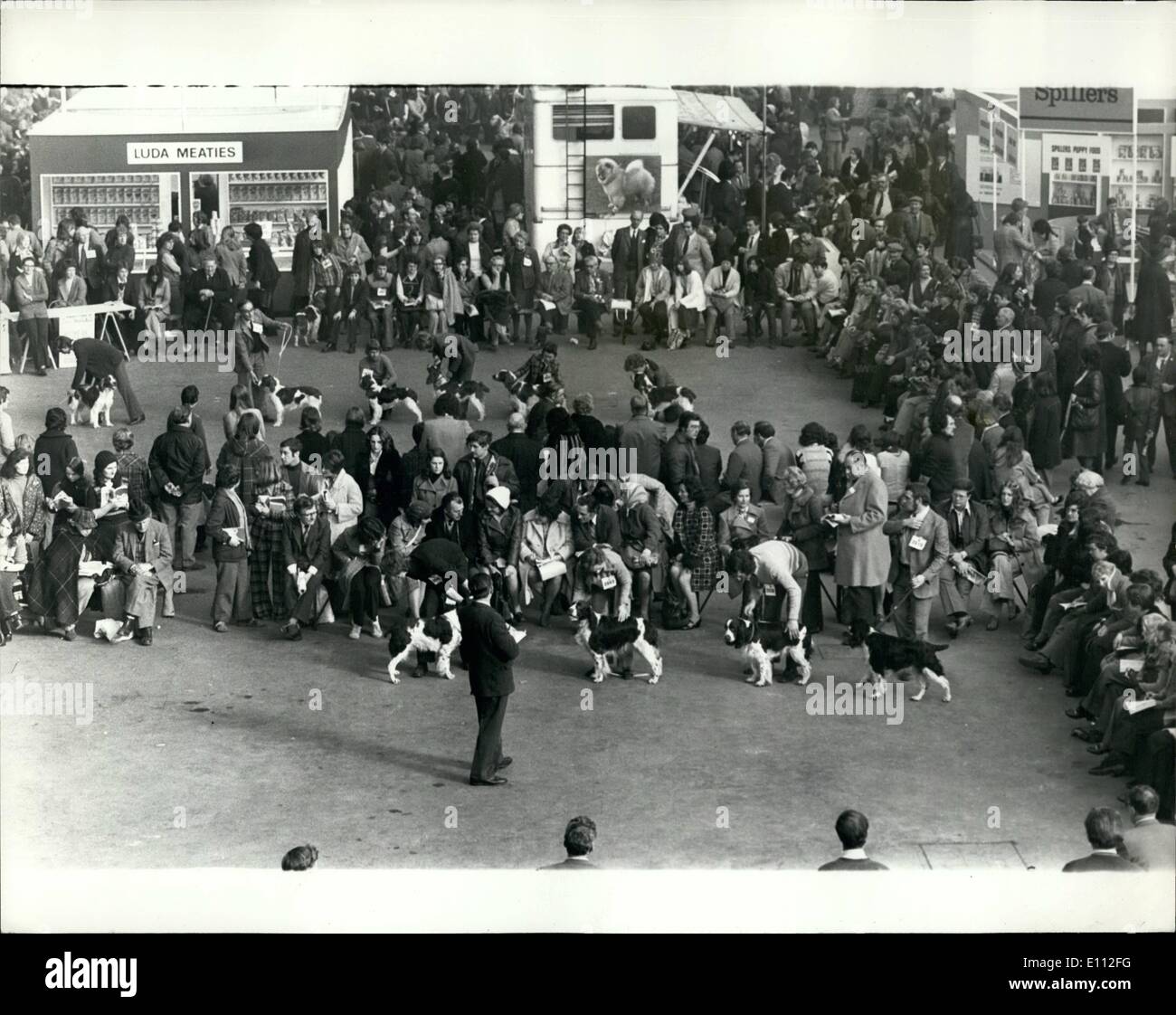 Febbraio 02, 1975 - il Crufts Dog Show all'Olympia. Mostra fotografica di vista generale nella Grand Hall a Olympia, Londra, oggi, durante a giudicare il mondo famoso Crufts Dog Show, che si è aperto oggi. Foto Stock