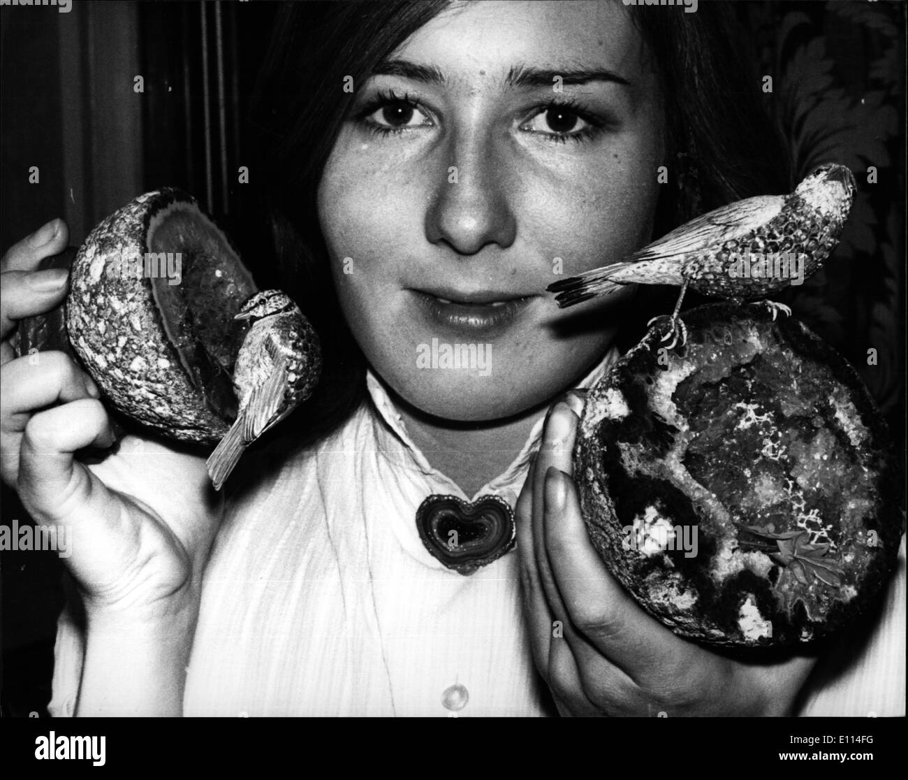 Nov. 11, 1975 - Esposizione di uccelli con zirconi: E. Wolfe & Co. stanno celebrando i loro centoventicinquesimo anniversario con una mostra di Jewelled uccelli che si apre a Goldsmith's Hall, Foster Lane, nella città di novembre xi di novembre 20th. Gli uccelli variano in dimensioni da piccolo spille di oggetti d'arte quasi un piede alto, tutte modellate da oro 18 carati arricchito con un piumaggio di pietre preziose Foto Stock