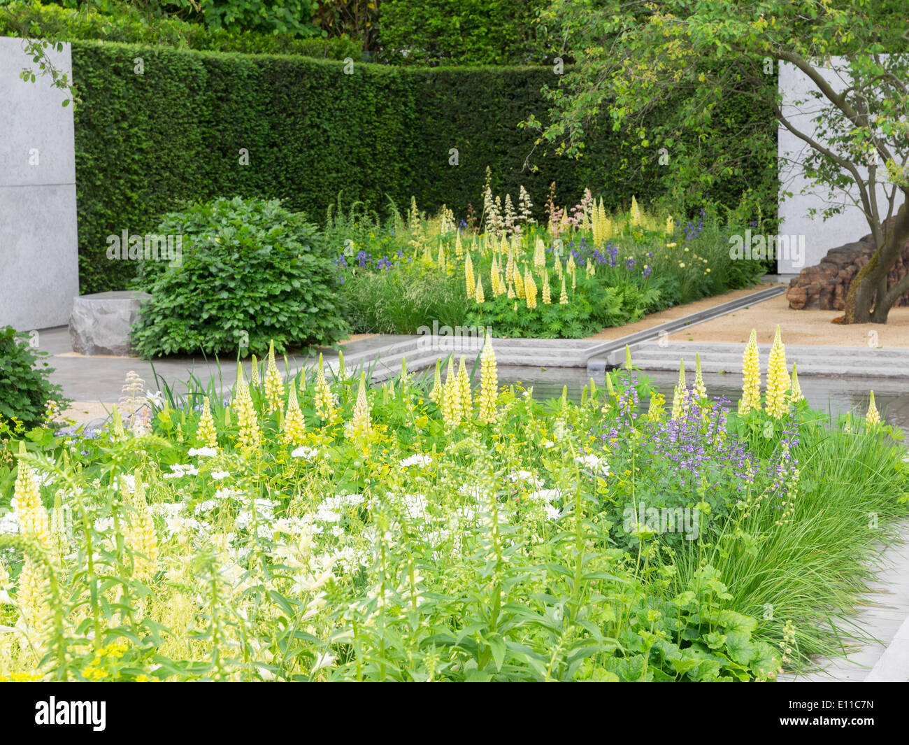 Londra, UK, 20 maggio 2014 RHS Chelsea Flower Show primo giorno. Il Laurent-Perrier giardino disegnato da Luciano Giubbilei. Medaglia d'oro e miglior spettacolo giardino vincitore. Foto Stock