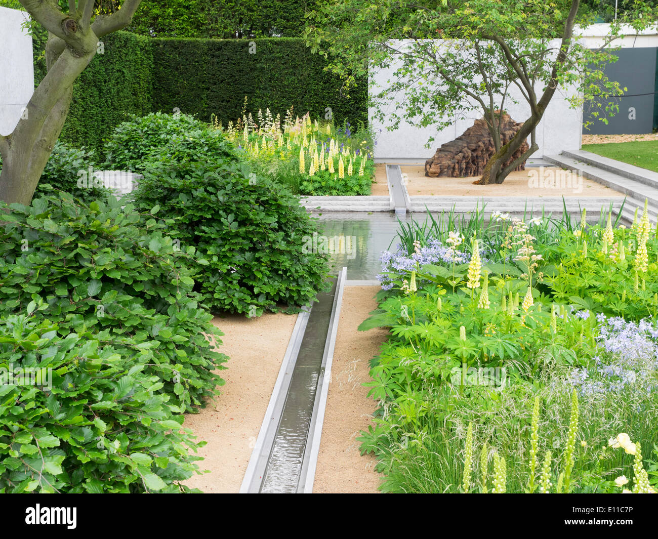 Londra, UK, 20 maggio 2014 RHS Chelsea Flower Show primo giorno. Il Laurent-Perrier giardino disegnato da Luciano Giubbilei. Medaglia d'oro e miglior spettacolo giardino vincitore. Foto Stock