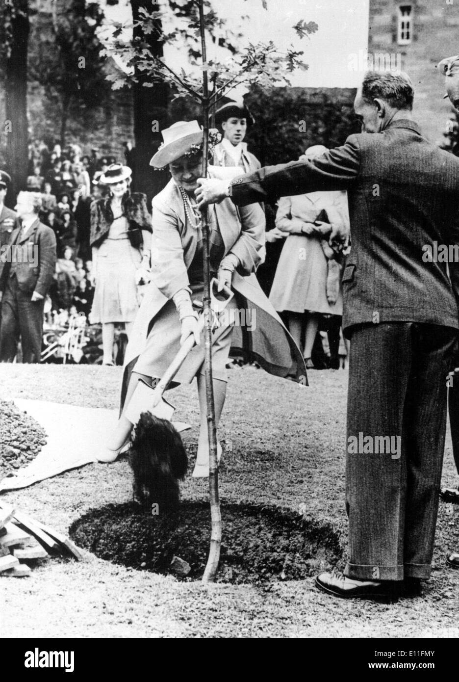 La Regina madre Elizabeth BOWES-LYON piantando un albero mentre si visita in Scozia Foto Stock