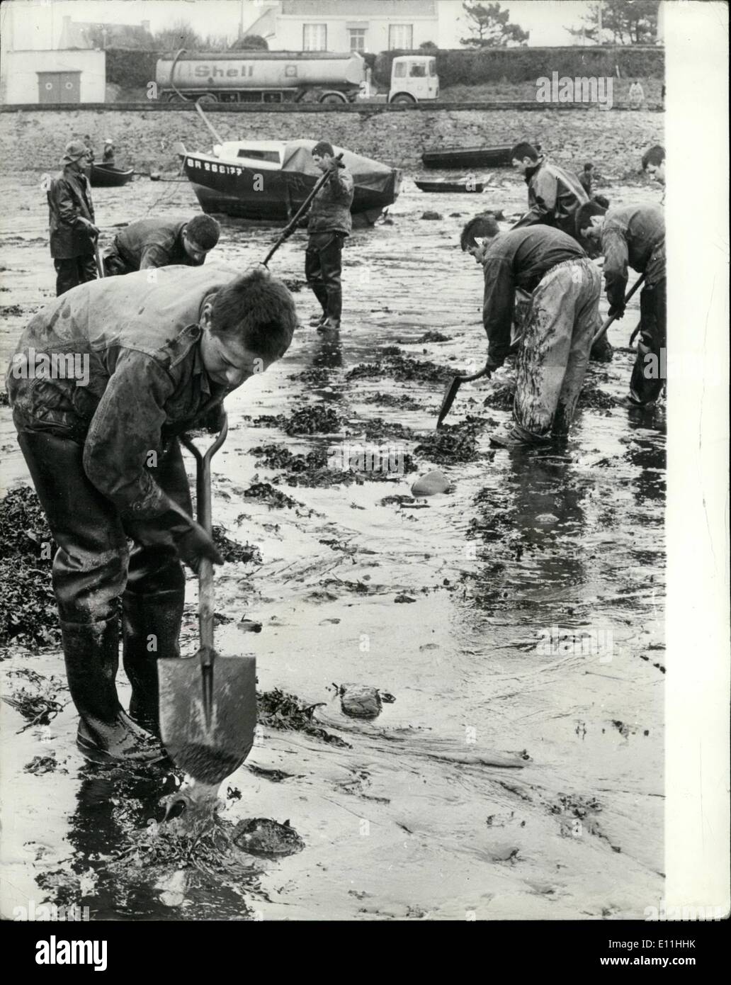 Mar 03, 1978 - crisi del petrolio sulle spiagge della Bretagna. Disastro per gli uccelli e la vita marina ha già arrivati sulle coste francesi, come risultato dell'olio scaricato dall'Amoco Cadiz petroliera. Enormi sforzi sono compiuti dalle forze di polizia locali aiutati da volontari provenienti da tutta la Francia, alla lezione gli effetti. Scolari in vacanza viaggiano da Parigi per aiutare. Centinaia di staffe in plastica e contenitori di piccole dimensioni sono stati raccolti in magazzini per la distribuzione all'esercito di aiutanti e di esperti veterinari sono a risparmio di lavoro come molti uccelli di mare come essi possono Foto Stock