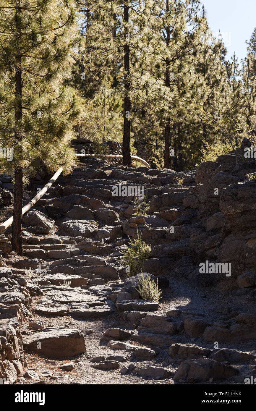 Percorso da Vilaflor attraverso la foresta al Paisaje Lunar, paesaggio lunare, Tenerife, Isole Canarie, Spagna. Foto Stock
