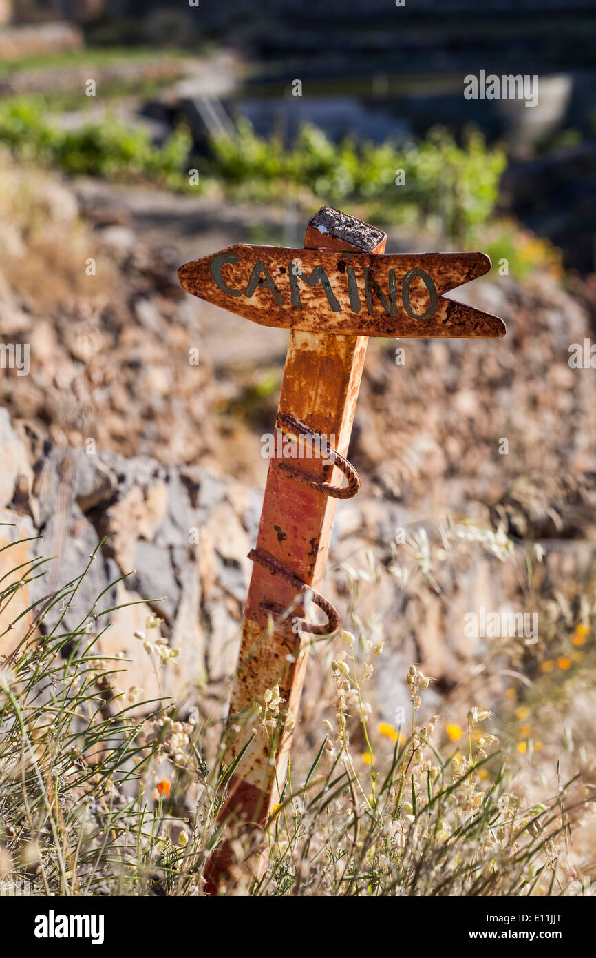 Segno all'inizio della passeggiata da Vilaflor al Paisaje Lunar, o paesaggio lunare, Tenerife, Isole Canarie, Spagna. Foto Stock