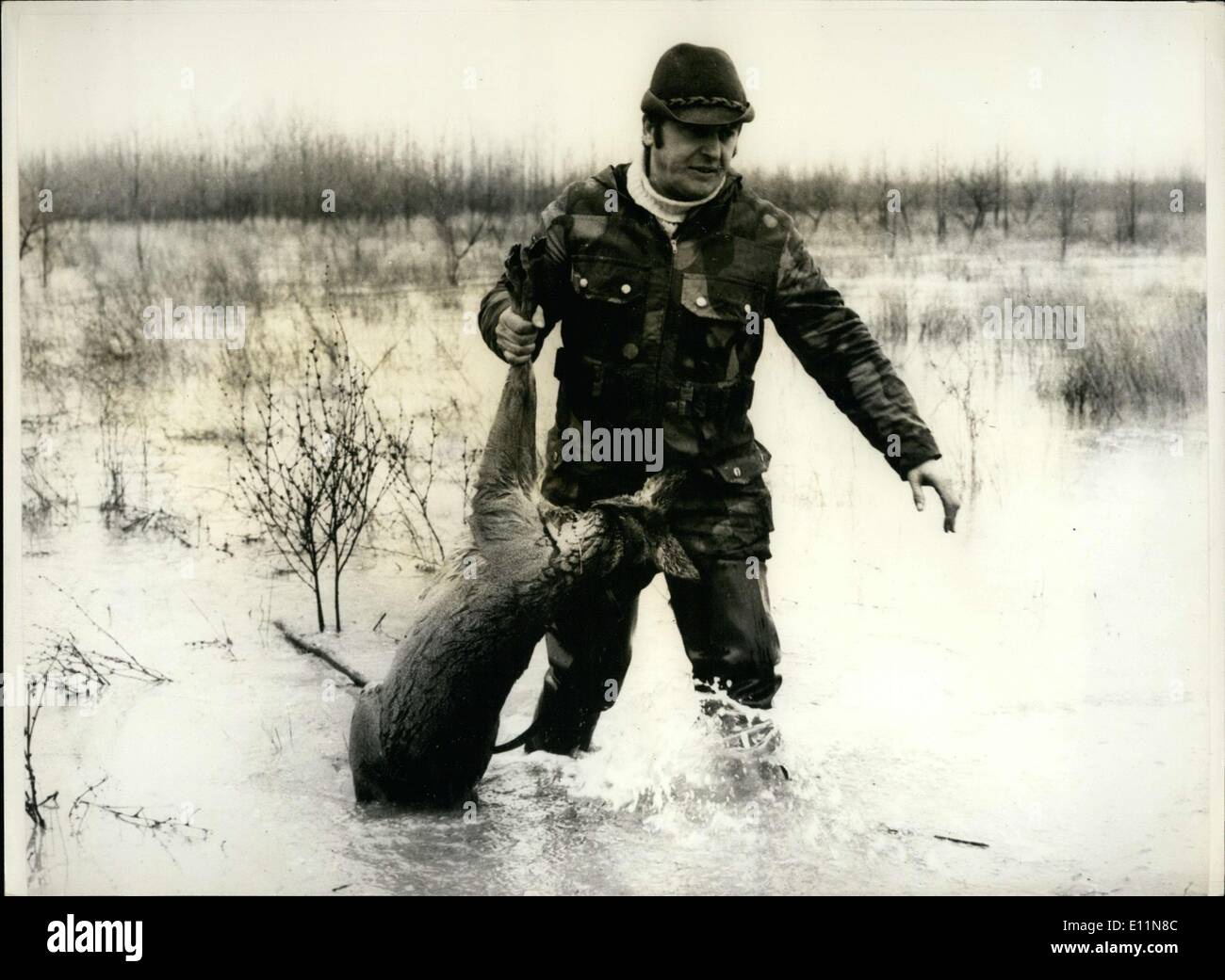 Mar 09, 1979 - L uomo salva Deer Icy acqua di inondazione, Ungheria Foto Stock