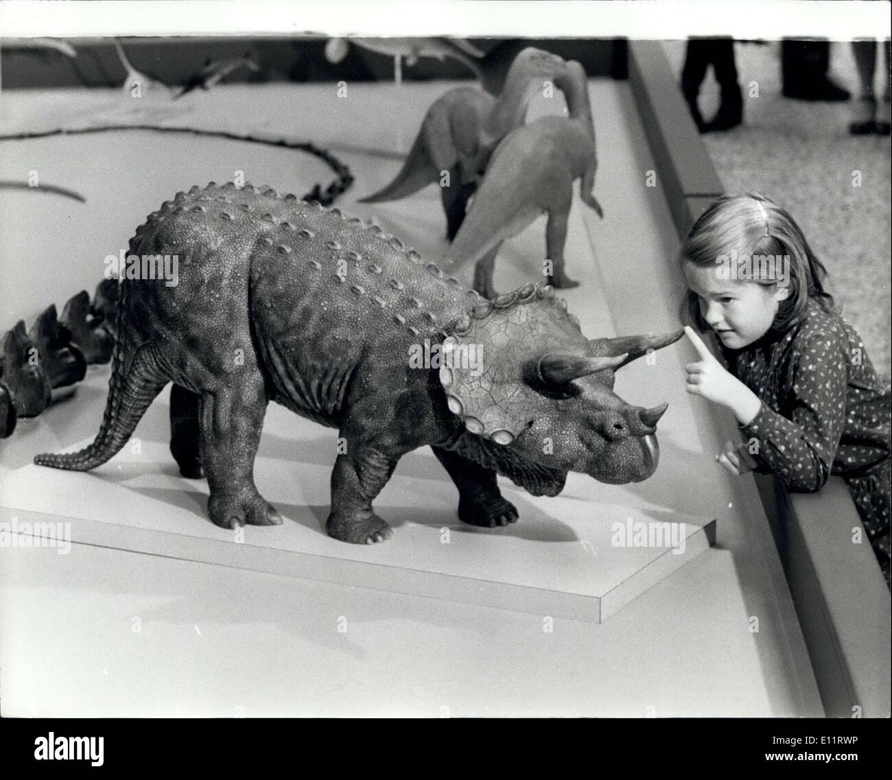 Ottobre 17, 1979 - ''Dinosaurs e i loro parenti viventi'' Exhibition Laura Polk, di età compresa tra i 8, esaminando un modello di cornuto triceratops, un 18ft rinoceronte lungo -come ornithischian dinosaur, in vista di una nuova mostra permanente, ''Dinosaurs e i loro parenti viventi'', che si è aperto ieri presso il Museo di Storia Naturale. Il vetro - i modelli in fibra sono fino a uno -Quinta dimensione di vita. Foto Stock