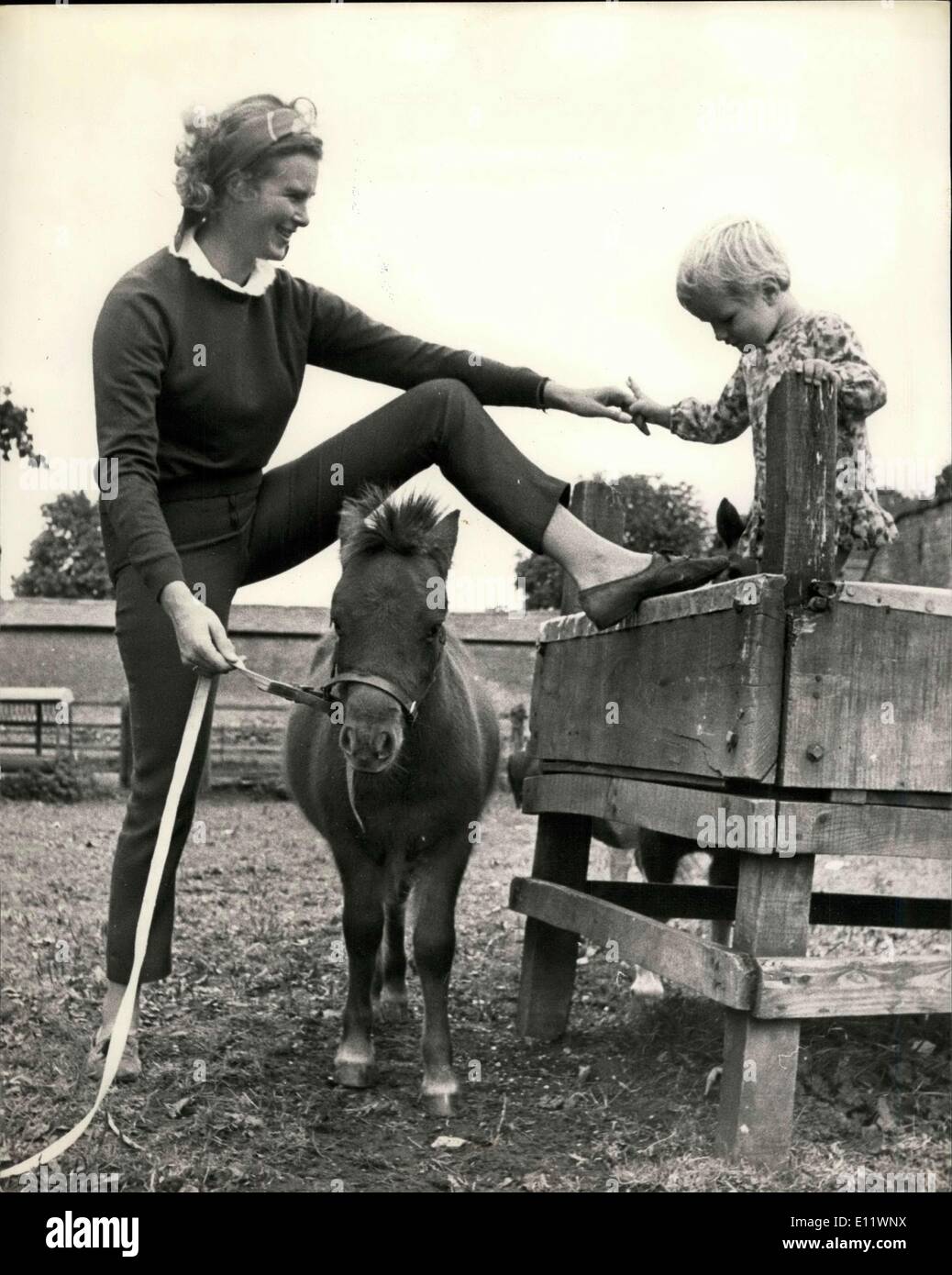 26 maggio 1980 - cavalli di Midrgets per il Cavallo dell'anno Show è l'ultima in statue simboli-piccoli cavalli Falabella dall'Argentina, che si trovano solo in vita alta. Originariamente allevato in Argentina, la Bread House, West Underwood, lney, Buckinghamshire. La nuora dell'uomo di proprietà della città, il signor lsle Marler, li sta impanando da tre Mares e da uno Stallion a 400 un nemico. Due dei cavalli più piccoli del mondo saranno quindi in sfilata per la prima volta al Horse of the Year Show, Empire pool, Wembley, dal 2 al 7 ottobre Foto Stock 26 maggio 1980 - cavalli di Midrgets per il Cavallo dell'anno Show è l'ultima in statue simboli-piccoli cavalli Falabella dall'Argentina, che si trovano solo in vita alta. Originariamente allevato in Argentina, la Bread House, West Underwood, lney, Buckinghamshire. La nuora dell'uomo di proprietà della città, il signor lsle Marler, li sta impanando da tre Mares e da uno Stallion a 400 un nemico. Due dei cavalli più piccoli del mondo saranno quindi in sfilata per la prima volta al Horse of the Year Show, Empire pool, Wembley, dal 2 al 7 ottobre Foto Stock