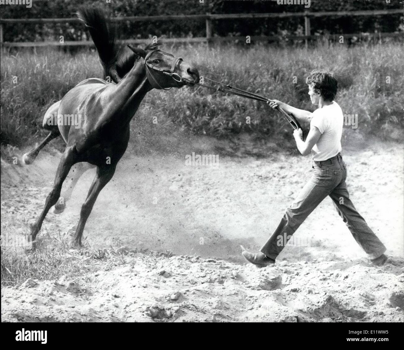 Giugno 06, 1980 - Queen's cavallo " Australia " Fiera a Newmarket: Australia Fair, il due-anno-vecchio delle corse ippiche puledra presentato alla Regina dal popolo australiano come una tardiva argento dono giubilare, ottenendo la sensazione del suolo inglese ieri dopo il suo arrivo a Newmarket scuderie del trainer William Hastings-Bass. La foto mostra l'Australia Fair con trainer William Hastings-Bass essendo trattenuto da stabili lad Tam McKay. Foto Stock