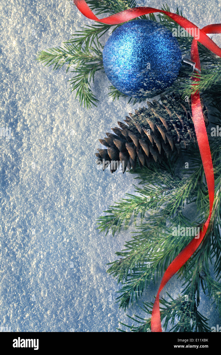 Sfondo con abete e cono Foto Stock