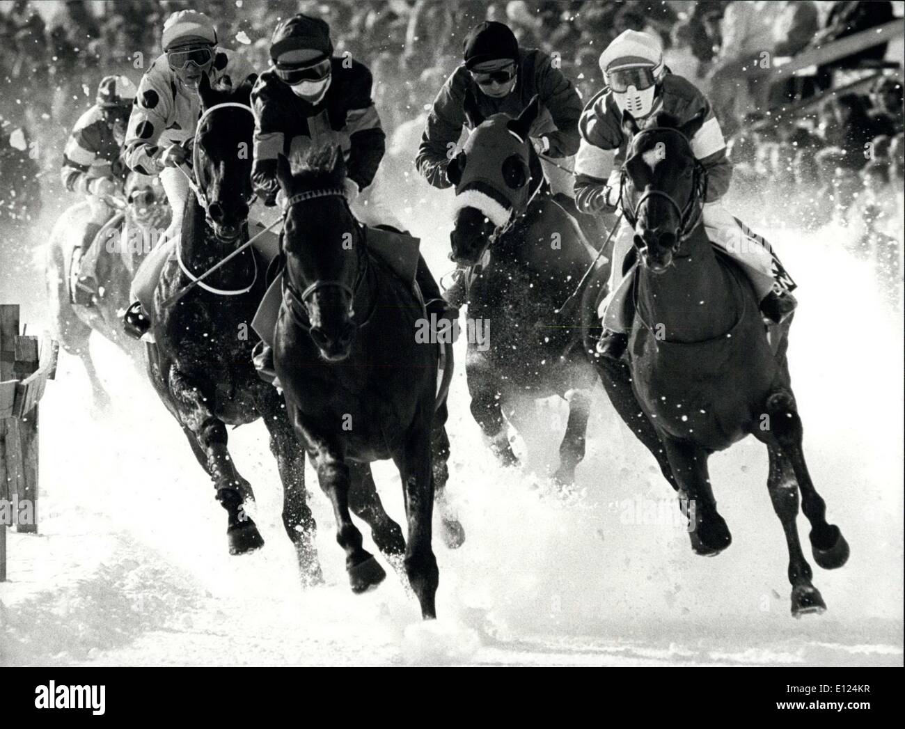 27 febbraio 1986 - corse di cavalli sulla neve: la famosa Svizzera winter sports resort San Moritz è ben noto per la sua tradizionale corse di cavalli sul lago ghiacciato di St. Moritz. Ci sono gare normali e anche la pericolosa 'Skijoring'' dove uno sciatore è puled da un cavallo. La nostra immagine mostra un'impressione di gara. Foto Stock