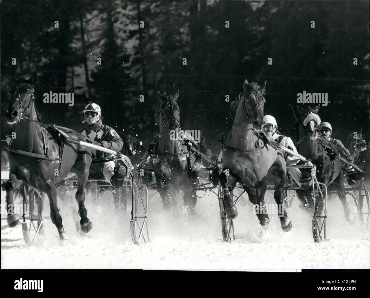 Febbraio 02, 1989 - Con il sulky sul lago: Swiss winter resort San Moritz è rinomata per emozionanti corse di cavalli sul suo congelati Foto Stock