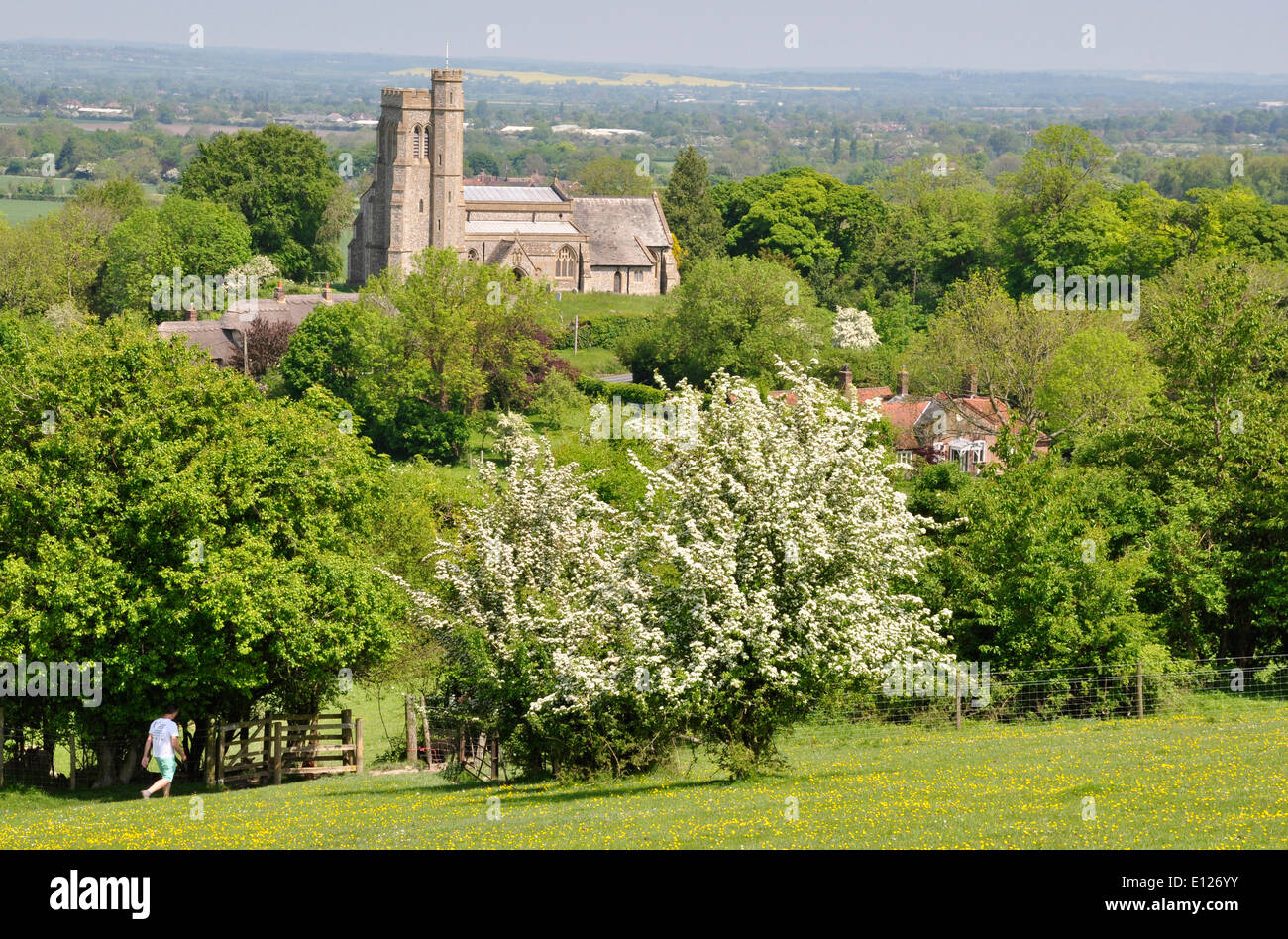 Bucks - Chiltern Hills - Aldershot - vista elevato su Beacon Hill campi+ siepi alla chiesa - sole di primavera - walker al cancello del campo Foto Stock