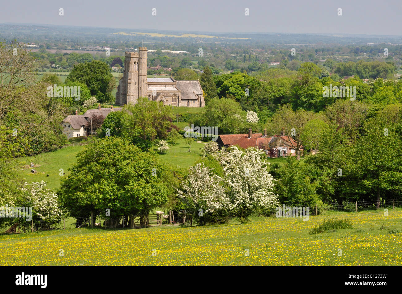 Bucks - Chiltern Hills - Aldershot - vista elevato su Beacon Hill su campi e siepi alla chiesa parrocchiale - La luce del sole di primavera Foto Stock