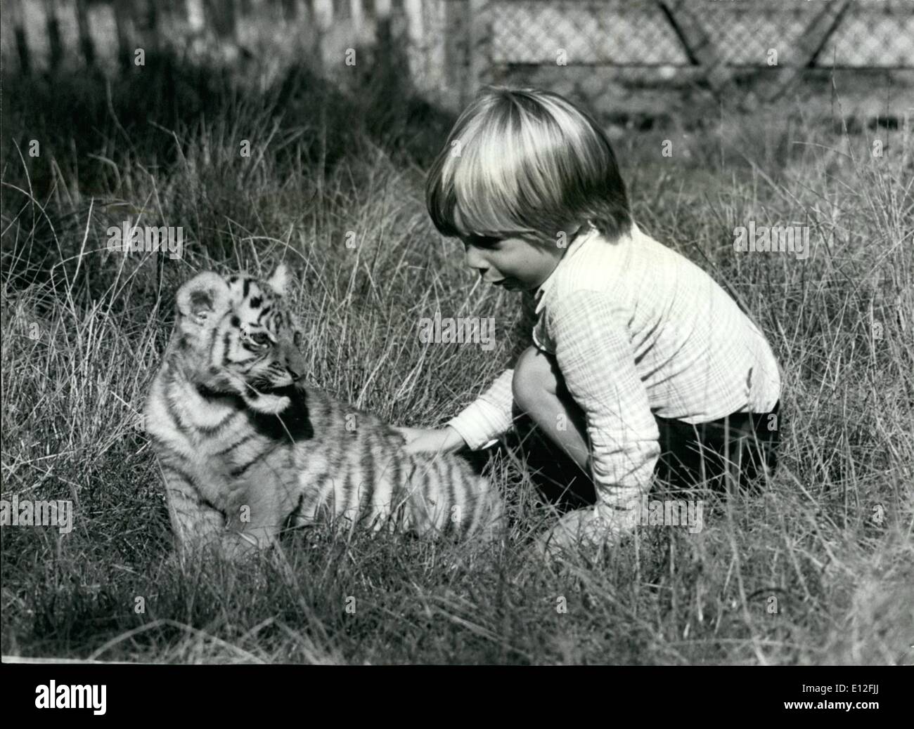 26 dicembre 2011 - il figlio di John Aspinall bassa, gioca con un cucciolo di leopardo nuvoloso, nel parco dello splendido zoo Howletts di antebury. Foto Stock
