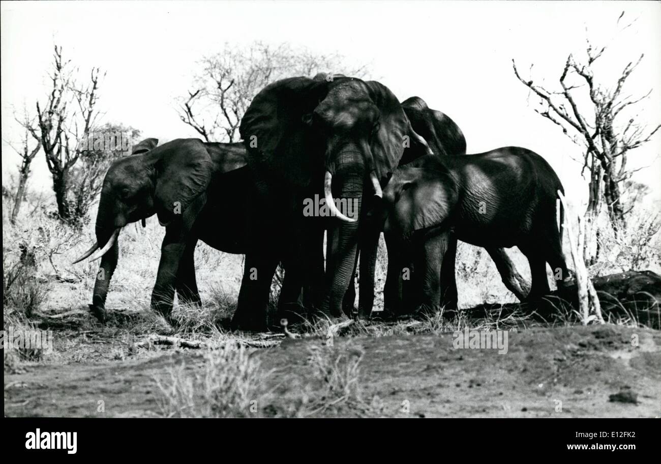 Dic. 26, 2011 - Questa piccola famiglia di elefante guardando molto stanco ed esausto -- solo in attesa di morire. Foto Stock