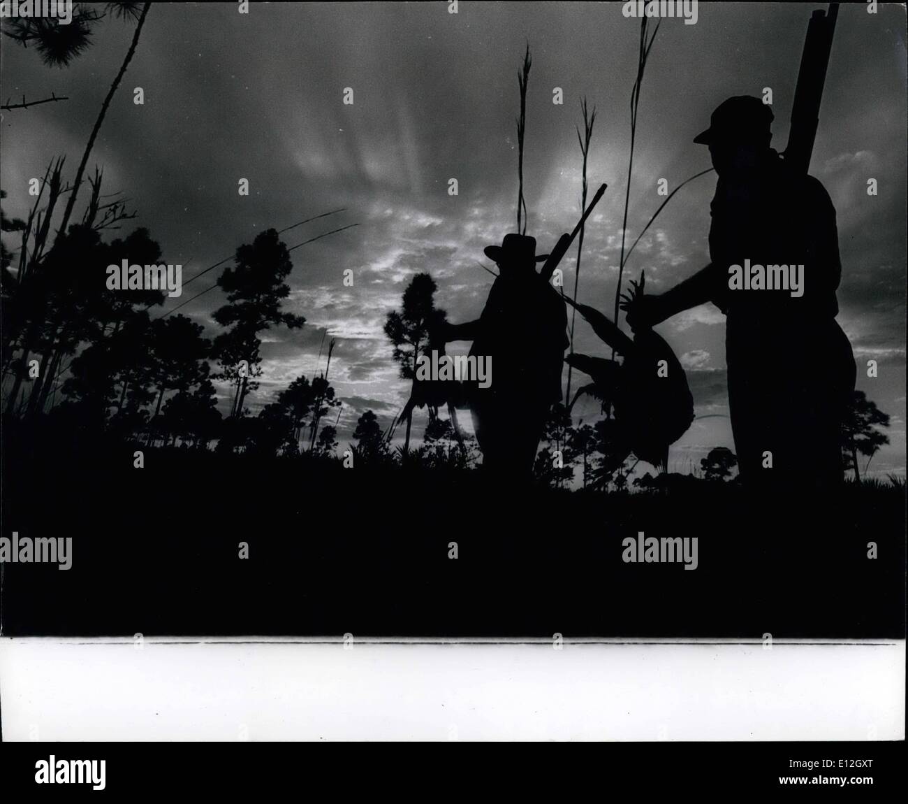 Gen. 10, 2012 - Gioco a bizzeffe. A caccia di preservare situato nella Riviera Beach, Florida, un ranch è stato istituito per fornire foraggi pistola per ricchi cacciatori americani. Per una quota di iscrizione di .000 per anno, alta società banditi possono essere certi di un kill. Il ranch si solleva oltre 18.000 quaglia , fagiani e tacchini, prodotta in modo specifico per soddisfare il sangue agli appassionati di sport. La zona si estende su dieci miglia quadrate e è ''garantita'' ad essere spesse con la vita selvatica. Un grido lontano dai giorni di Guglielmo Tell e Robin Hood, i cacciatori sono dotate di più come se fossero su un ventesimo secolo manocuvre dell esercito Foto Stock