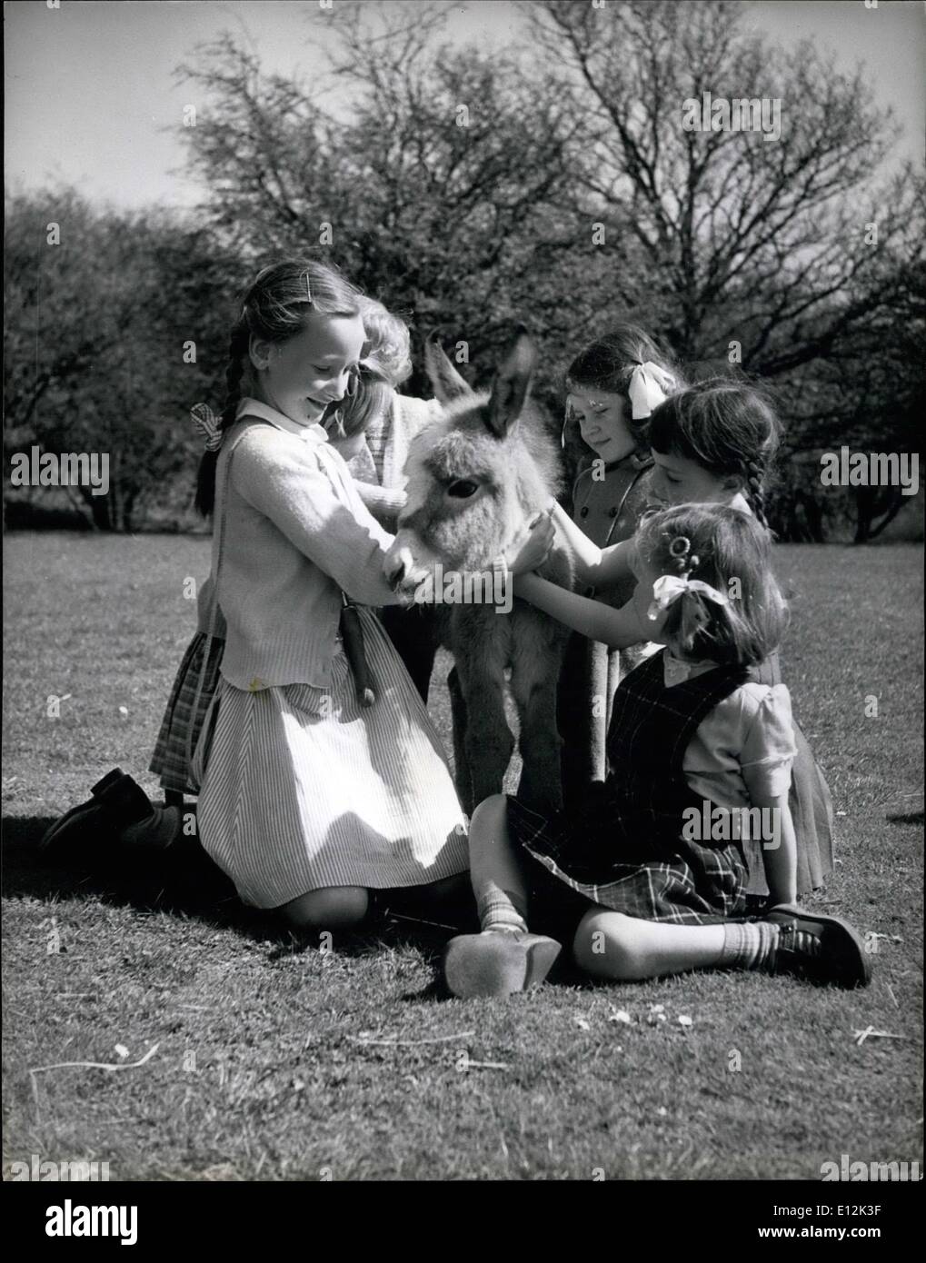 Febbraio 24, 2012 - Francesca l'Asino pigmeo: Francesca, l'asino pigmeo è il più recente arrivo a Whipsnade zoo. Lei è appena tre settimane ed è la figlia di Jack e Jennie, pigmeo di asini da Ceylon. Il soprintendente di Whipsnade scelto Jacko e Jennie come il più piccolo degli asini offerto in modo se Frances si sviluppa per formare lei sarà un piccolo tot per tutta la sua vita. I suoi genitori sono circa le dimensioni di una nuova terra scoperta cane. Pigmeo di asini sono utilizzati come battiti di onere in alcune parti dell'Asia e hanno una reputazione per essere forte e grintosa Foto Stock