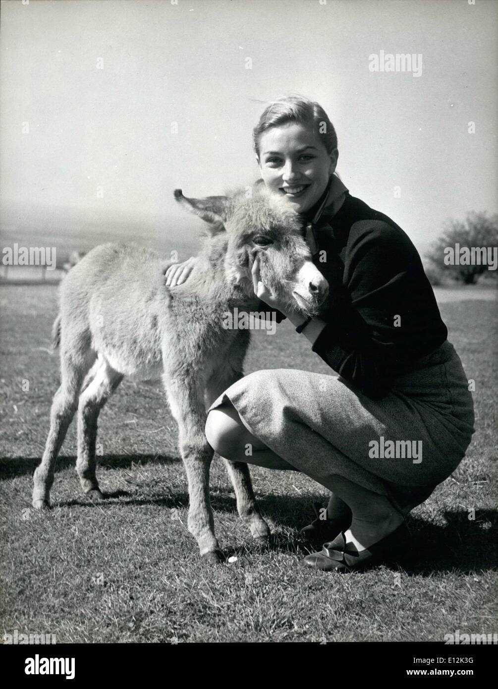 Febbraio 24, 2012 - Francesca l'Asino pigmeo: Francesca, l'asino pigmeo è il più recente arrivo a Whipsnade zoo. Lei è appena tre settimane ed è la figlia di Jack e Jennie, pigmeo di asini da Ceylon. Il soprintendente di Whipsnade scelto Jacko e Jennie come il più piccolo degli asini offerto in modo se Frances si sviluppa per formare lei sarà un piccolo tot per tutta la sua vita. I suoi genitori sono circa le dimensioni di una nuova terra scoperta cane. Pigmeo di asini sono utilizzati come battiti di onere in alcune parti dell'Asia e hanno una reputazione per essere forte e grintosa Foto Stock