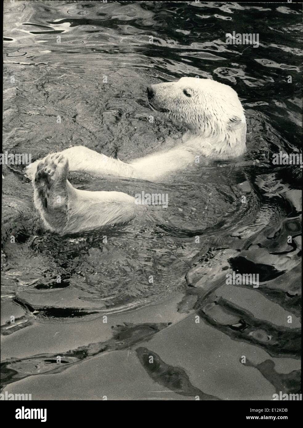 Febbraio 24, 2012 - è l'acqua fresca abbastanza?: Parigi ha avuto uno dei suoi più calorosi di giorno in giorno. La scena come lo zoo è stato uno dei effervescencey come animali polari sentito il primo calore della stagione. Mostra fotografica di decidere di fuggire dal caldo, questo orso polare ha gettato nel mare e sembra pensare che è sufficientemente fredda per lui. Foto Stock