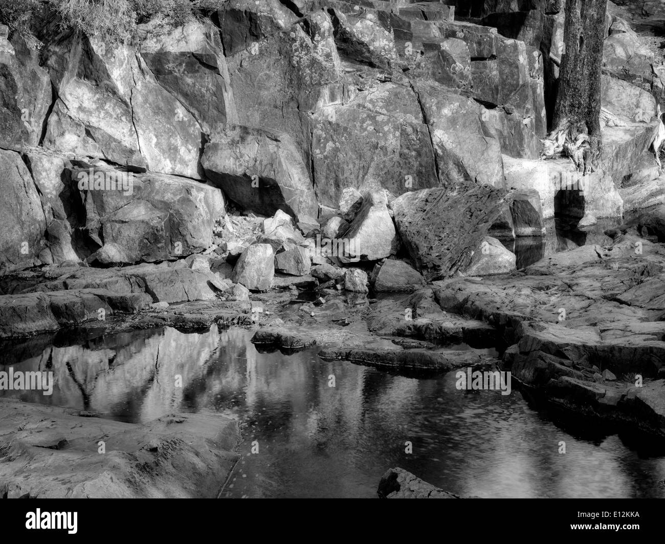 Piscina di acqua con il lichen coperto le rocce su Glen Alpine Creek. Caduto vicino Lago di foglia, California Foto Stock
