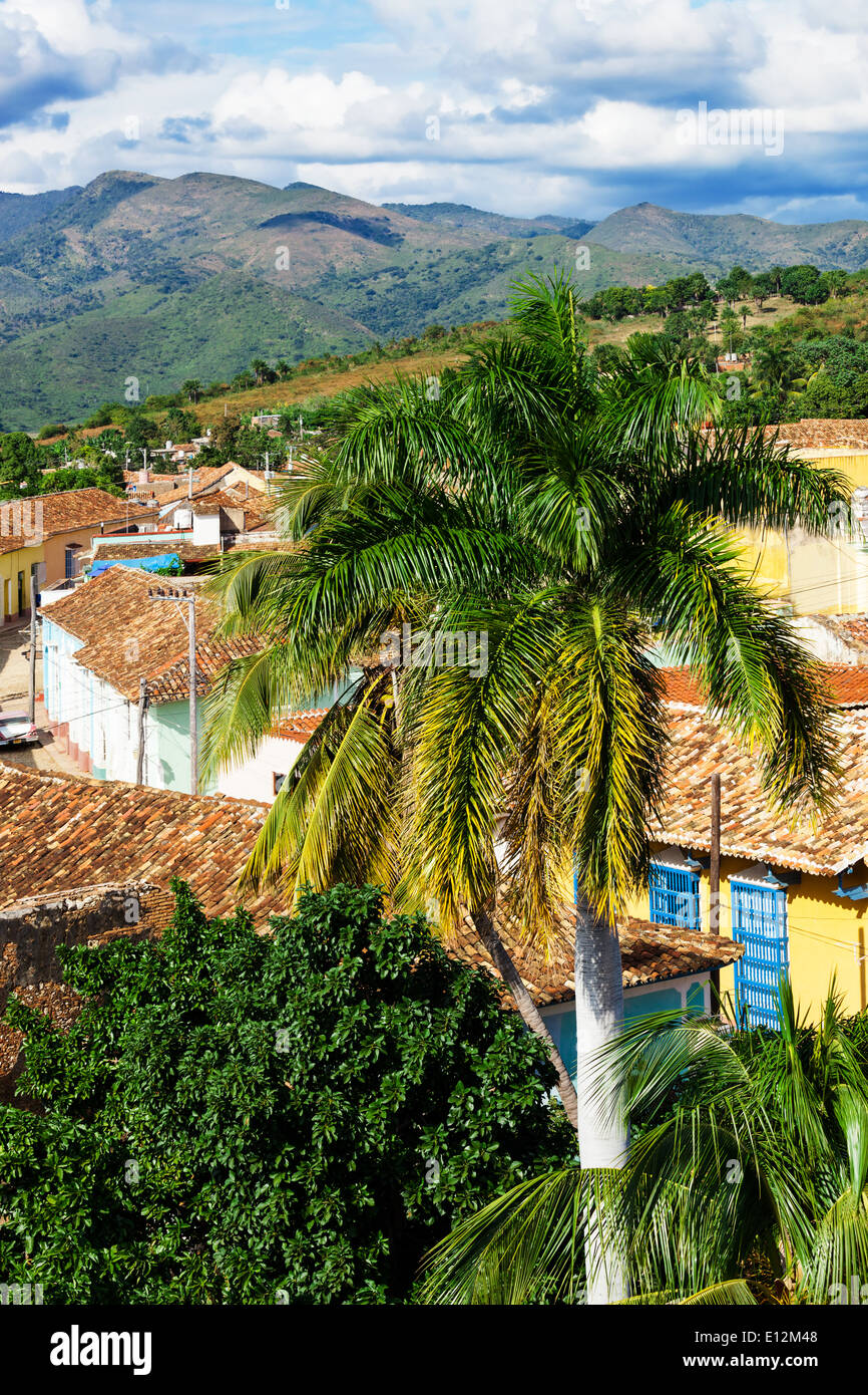 Palm tree su uno sfondo di vecchia città di Trinidad Foto Stock