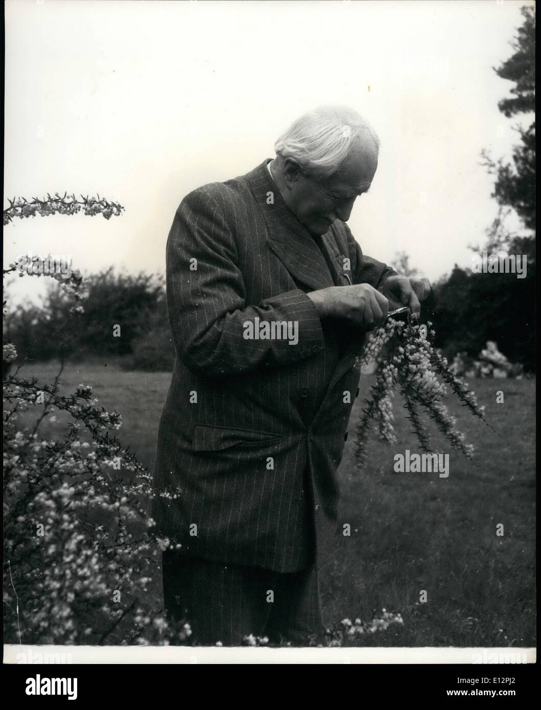 Febbraio 24, 2012 - a casa con il post laureate nel suo diciottesimo sentire : Ora ottanta, e solo recentemente recuperato dalla malattia, è buona per vedere nella foto ancora una volta del Dottor Giovanni Masefiedld , om. west laureati, e alla strada hanno il suo poema di benvenuto, scritto per celebrare sua maestà il ritorno. Giù a burcote brook, vicino a Abingdon, dove ha vissuto per lunghi anni, il dott. Masefiedl, è ancora attiva e si attestano la casa e il giardino la cura per la sua biblioteca di libri, lavorando al suo hobby della pittura di navi, partecipando al giardino arbusti, e facendo una certa quantità di scrittura Foto Stock