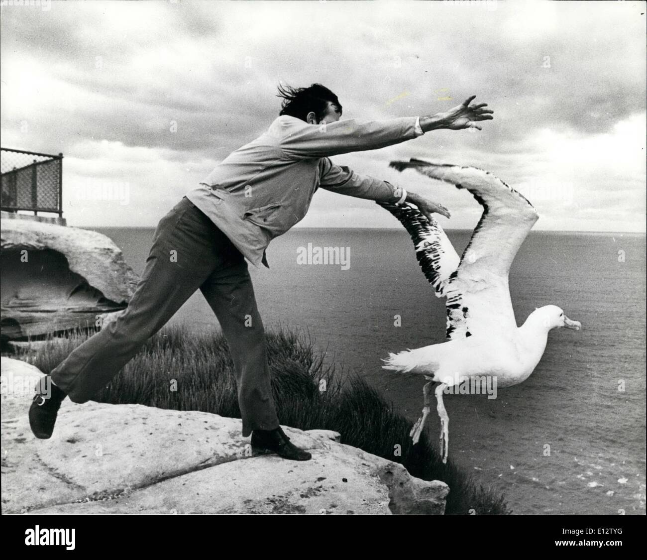 Febbraio 25, 2012 - Discesa a mare di nuovo; alta sulle scogliere del Nord Heud Sydney, Australia, Kerry Muller, del Taronga Park Zoo, getta un albatross alla libertà. Quando l'uccello non ha mostrato alcun segno di pregiudizio, Zoo di funzionari hanno deciso di dargli una possibilità per tornare alla sua nativa tormenta e così con un lembo della sua grande ali, prese il volo verso gli orizzonti. Foto Stock