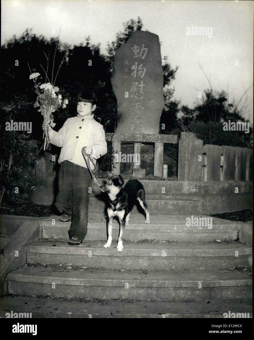 Febbraio 26, 2012 - La Japs mai dimenticare i loro animali domestici anche dopo la morte. Una bambina porta lungo i fiori e il suo nuovo pet per visitare la tomba del cane che ha recentemente perso. Foto Stock