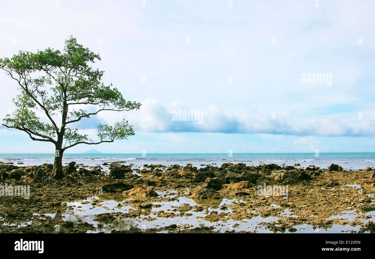 La vista da isola umang Ujung Kulon indonesia java Foto Stock