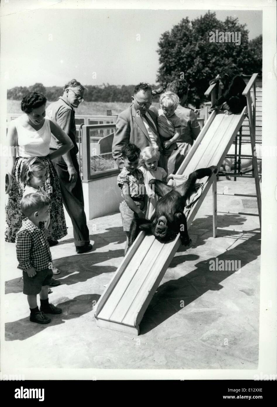 Febbraio 25, 2012 - è lo scambiatore di calore in questo modo dice chimp. Divertimento sulla slitta a zoo per bambini. Gli sforzi del chimp in divertenti i curiosi da viaggio capovolto sulla slitta è molto apprezzato dai giovani visitatori al recentemente costruito lo Zoo dei Bambini a Regent's Park questo pomeriggio. Foto Stock