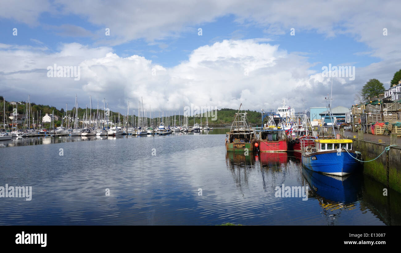 Porto di Tarbert Scozia -1 Foto Stock