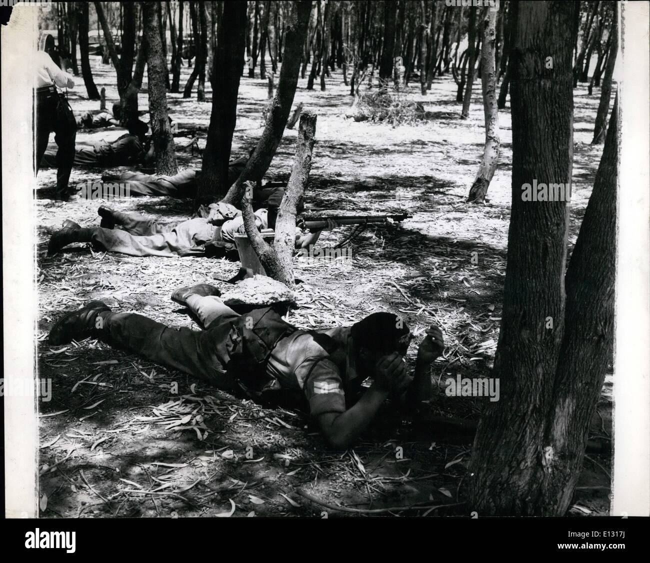Febbraio 26, 2012 - truppe al pronto a Cipro: Commandos prendere parte alle frequenti esercitazioni per prepararsi all'eventualità speciali, nonché di eseguire la routine di protezione interna dei doveri. Qui sono alcuni durante un esercizio di paese boscoso. Foto Stock