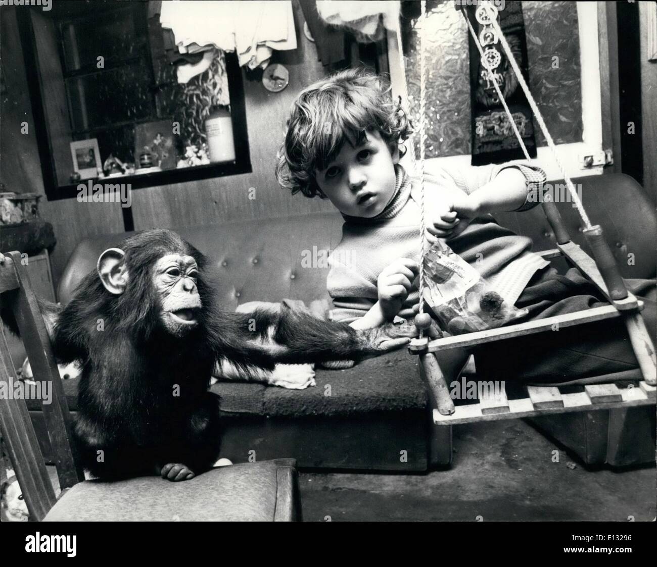 Febbraio 26, 2012 - una luminosa scintilla nella famiglia di bugne: un nuovo membro della famiglia di bugne -Sparky chimp, ravviva la scena nazionale, e arriva a conoscere i suoi fratelli e le sue sorelle. Sparky è un bambino nato di scimpanzé in bugne Zoo, Southam Zoo, nel Warwickshire, e lui è stato portato nella loro casa fino a quando egli cresce un po'. 7 anno vecchio Tracy e 3 anni Alan sono lieti, un chimp rende un grande gioco mate, ma Butch il Bulldog non è così sicuro, egli è più diffidenti nei confronti di questo nuovo arrivato, dopo tutto un cane deve mantenere la sua posizione come famiglia pet Foto Stock