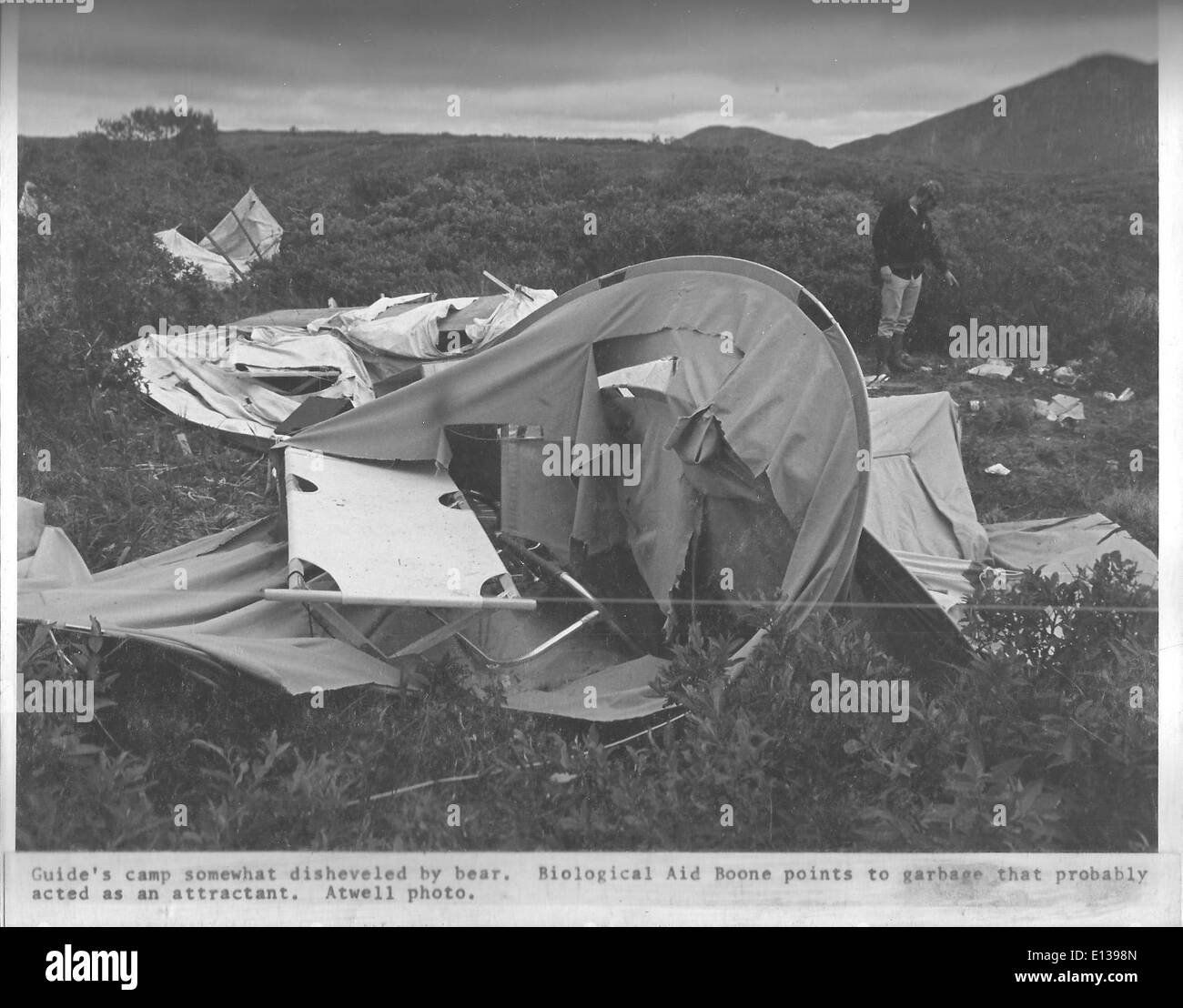 Nel 1972, un campo danneggiato è stato registrato nel Kodiak National Wildlife Refuge, Alaska. Il rifugio è noto per la sua ricca fauna selvatica e per i diversi ecosistemi, che forniscono un habitat critico per orsi, uccelli e altre specie. Questa immagine cattura un momento nella storia del rifugio, evidenziando l'importanza della conservazione nel preservare la natura selvaggia dell'Alaska. Foto Stock