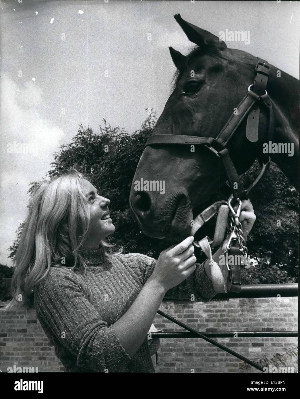 Febbraio 29, 2012 - Ann Moore nella foto con il Salmo, vincitore di una medaglia d oro acquisita per raccogliere il maggior numero di punti in quattro incontri a Hickstead durante il 1971 Show Jumping stagione. Foto Stock
