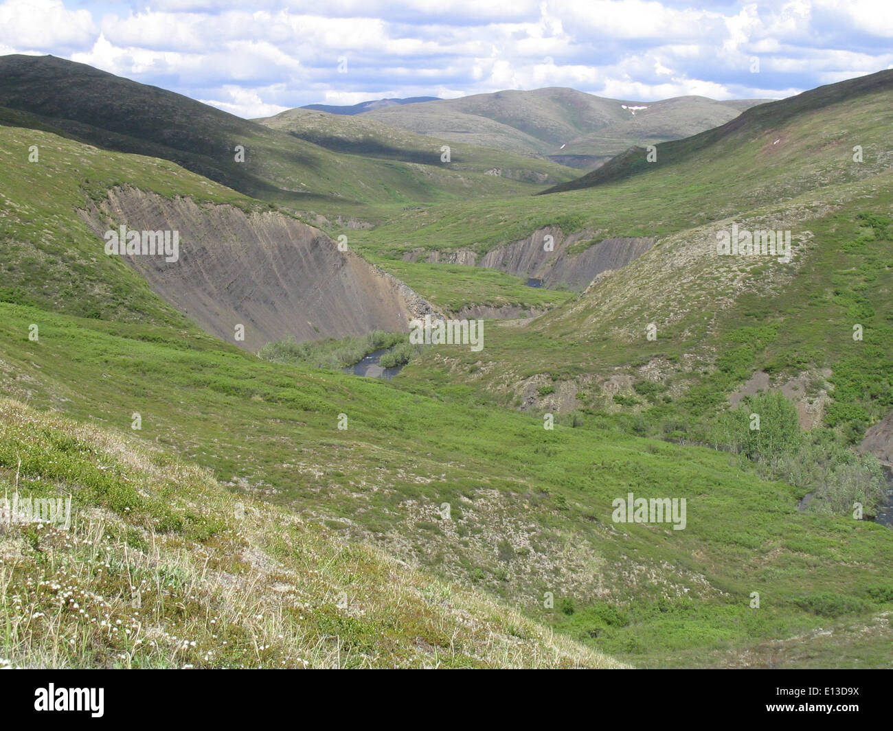 Durante un'indagine sul ginecologo nella riserva naturale nazionale del Delta dello Yukon, i ricercatori hanno osservato il paesaggio dei monti Askinuk monitorando le popolazioni di rapaci. Lo studio ha incluso bande e intrappolamenti per il monitoraggio futuro. Foto Stock