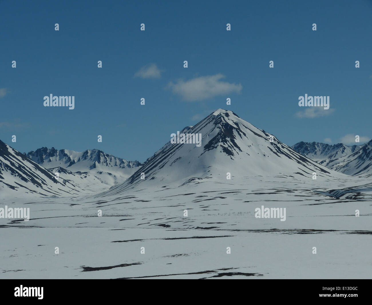 Nel maggio 2013, un'indagine sui rapaci è stata condotta nei monti Kilbuck del Yukon Delta National Wildlife Refuge utilizzando un elicottero per monitorare le popolazioni di uccelli, compresi gufi e altri rapaci. Foto Stock