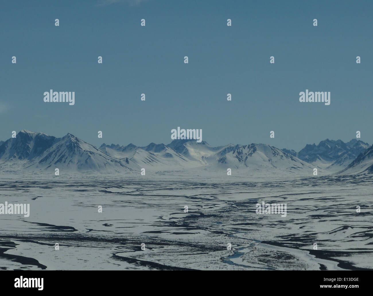 Un'indagine in elicottero nel maggio 2013 sulle Kilbuck Mountains e sul Yukon Delta National Wildlife Refuge ha aiutato a monitorare le popolazioni di rapaci. L'indagine è fondamentale per comprendere le tendenze della fauna selvatica e le esigenze di conservazione nella regione. Foto Stock