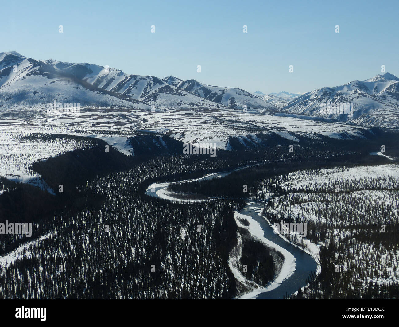 Nel maggio 2013, le indagini sui rapaci condotte in elicottero nei monti Kilbuck del Yukon Delta National Wildlife Refuge miravano a monitorare le popolazioni di uccelli, compresa la presenza del gufo a orecchie corte in via di estinzione. Foto Stock