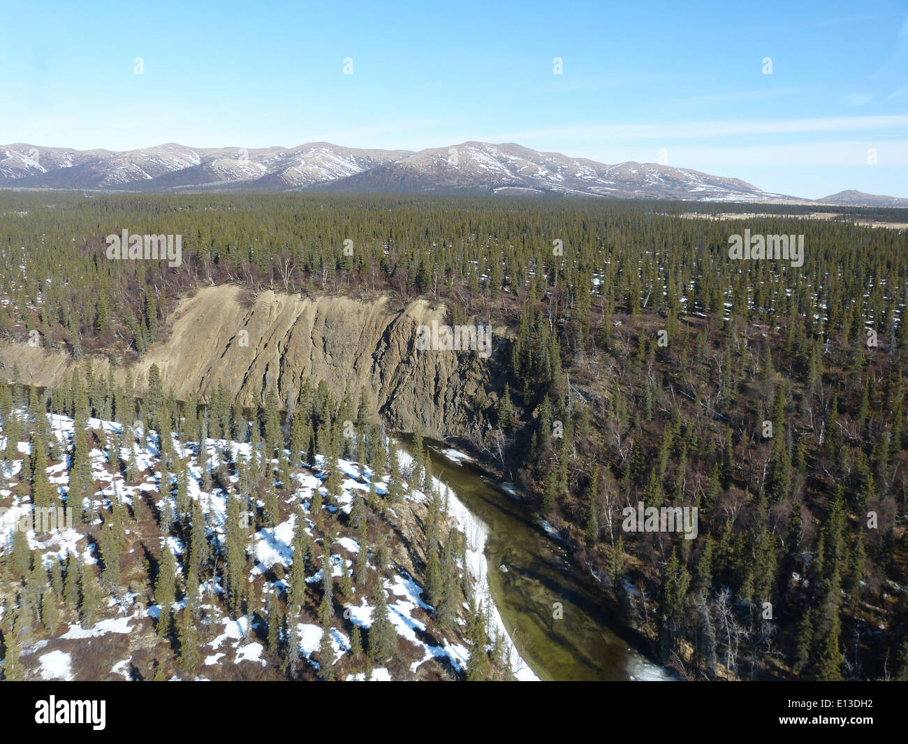 Un'indagine sui rapaci condotta in elicottero nelle Kilbuck Mountains, parte del Yukon Delta National Wildlife Refuge, traccia la popolazione e il movimento dei gufi e di altri rapaci nella regione. Foto Stock
