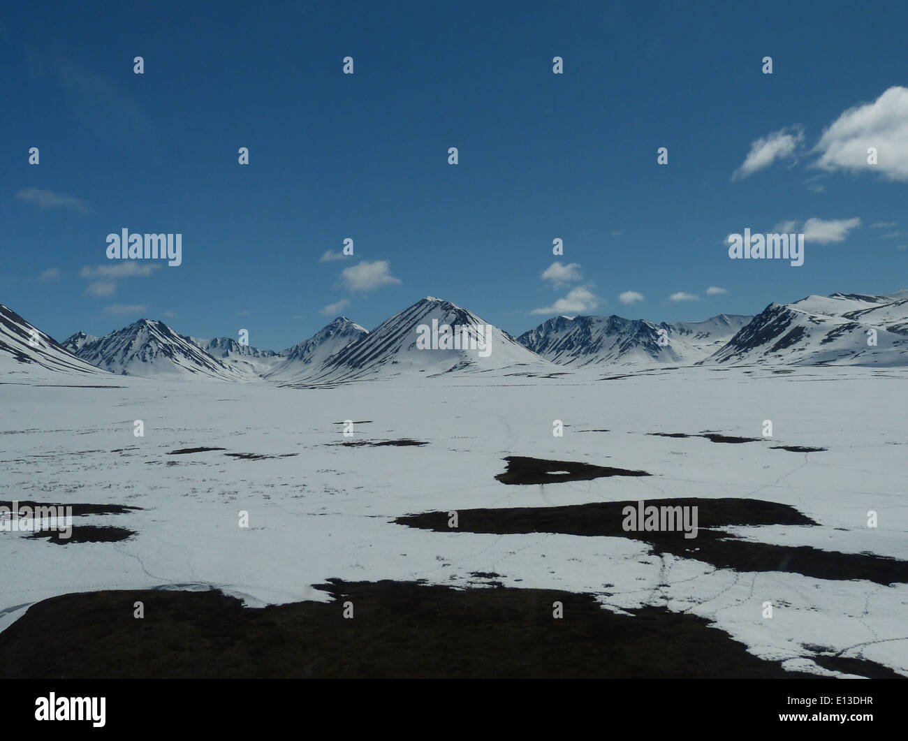 Le Kilbuck Mountains, situate all'interno del Yukon Delta National Wildlife Refuge, sono state esaminate nel maggio 2013 per rapaci. È stata condotta un'indagine in elicottero per monitorare le popolazioni della fauna selvatica e raccogliere dati per gli sforzi di conservazione. Foto Stock
