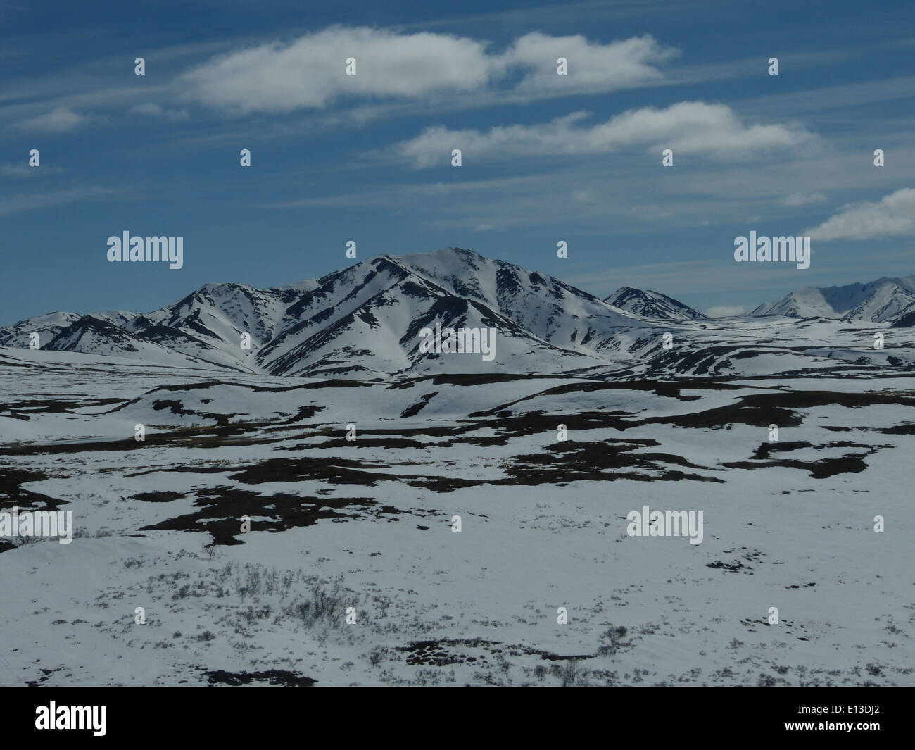 Un'indagine sui rapaci nelle montagne Kilbuck del Yukon Delta National Wildlife Refuge nel maggio 2013, utilizzando elicotteri per la ricerca sul campo sulle popolazioni di rapaci e sui modelli migratori. Foto Stock