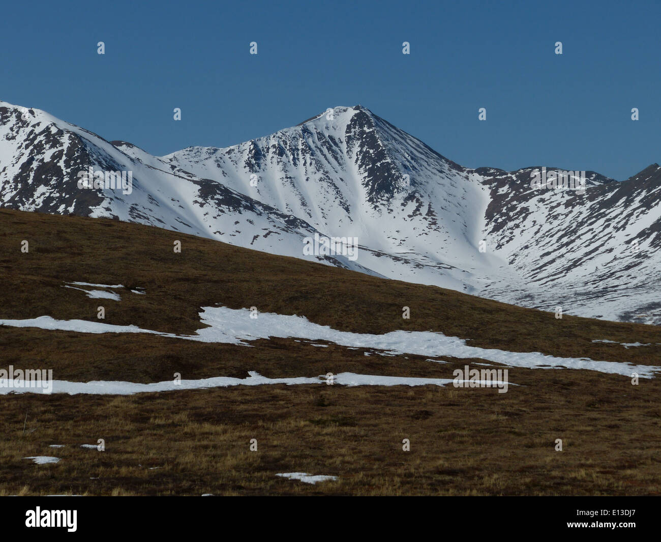 Un'indagine in elicottero del 2013 sulle Kilbuck Mountains e sul Yukon Delta National Wildlife Refuge si è concentrata sulle popolazioni di rapaci, fondamentali per gli sforzi di conservazione e il monitoraggio della fauna selvatica. Foto Stock